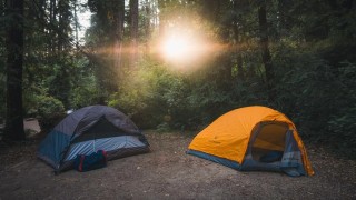 Two tents in the forest and the sun is shining through the leaves.